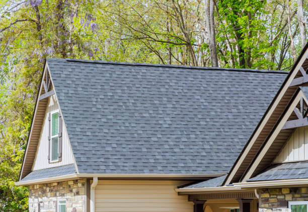 Best Sheet Metal Roofing  in Pleasanton, CA